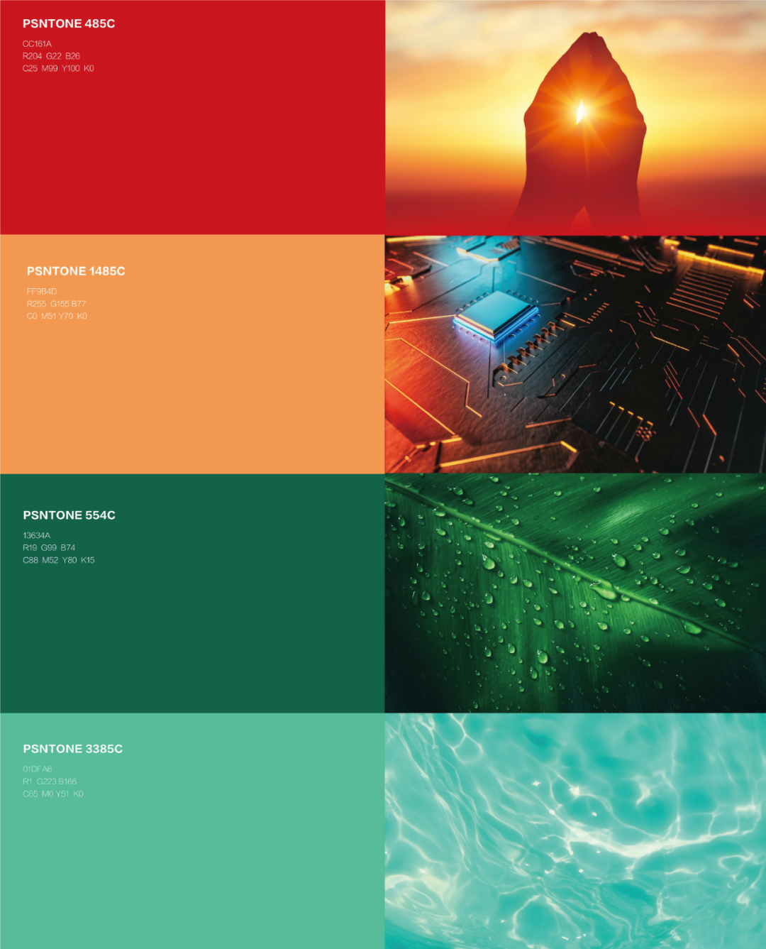 ��ҳ- ���������й��������