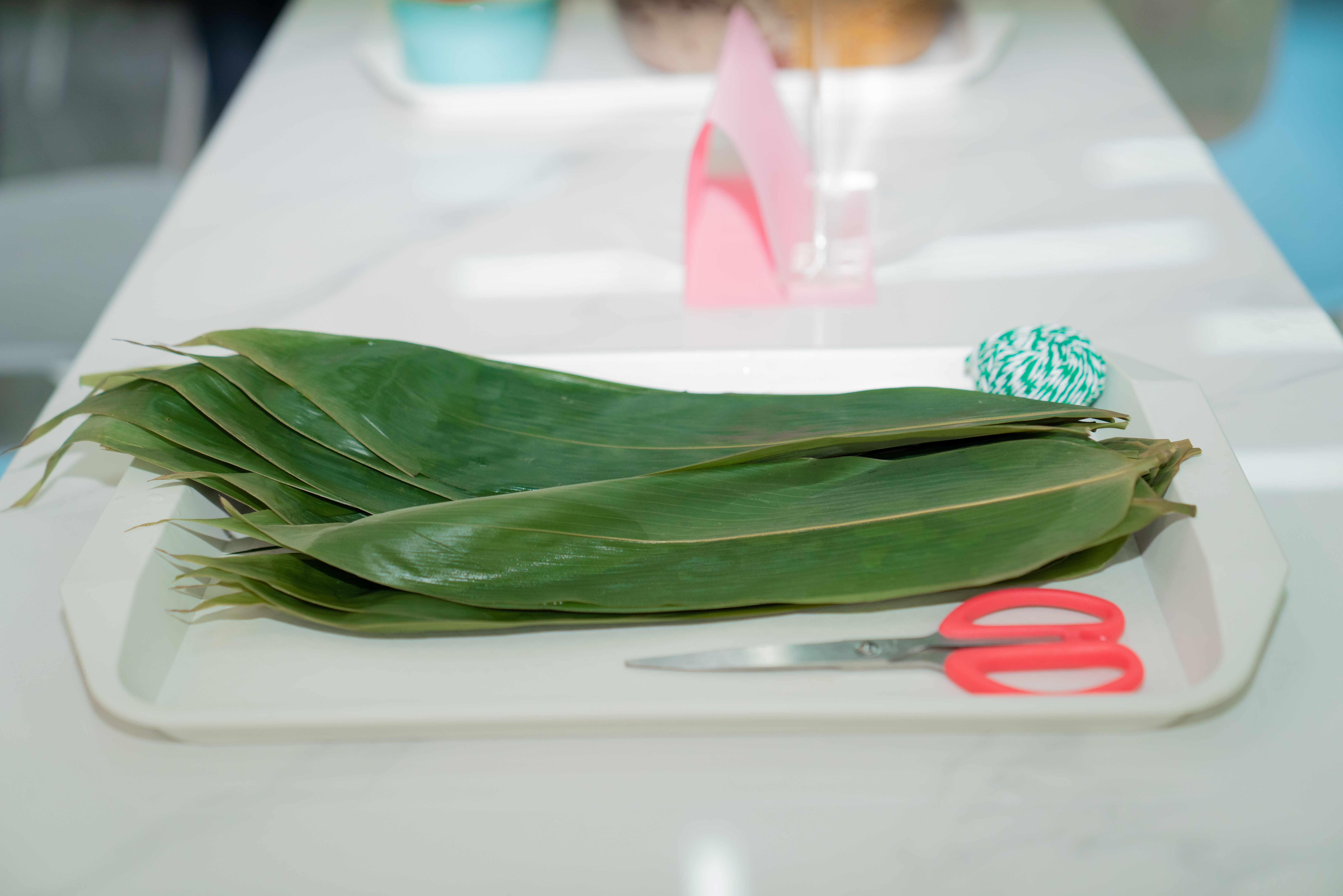 ��ҳ- ���������й��������