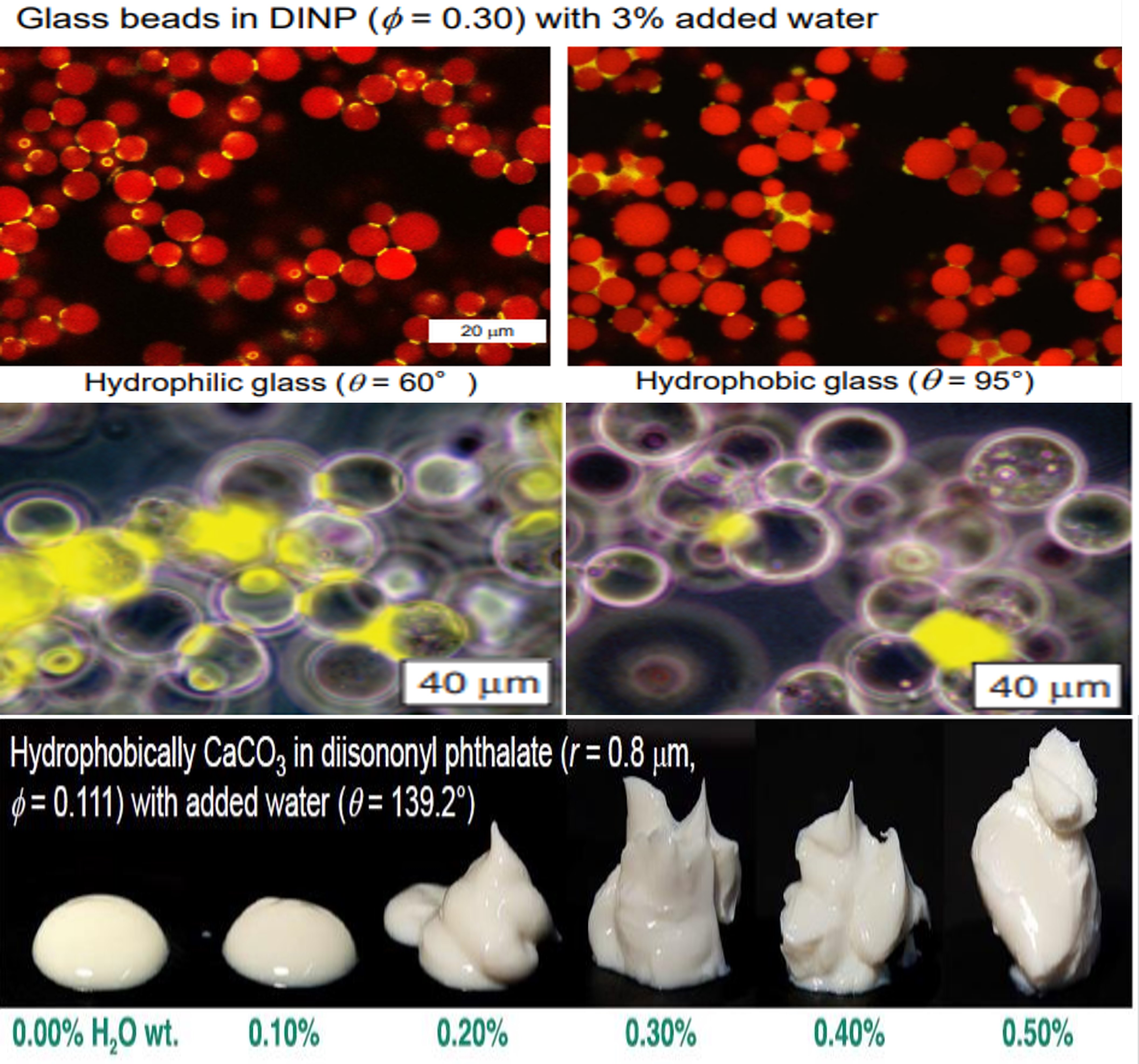 ��ҳ- ���������й��������